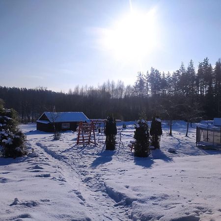 Brivdienu Maja Skerskani Krāslava エクステリア 写真